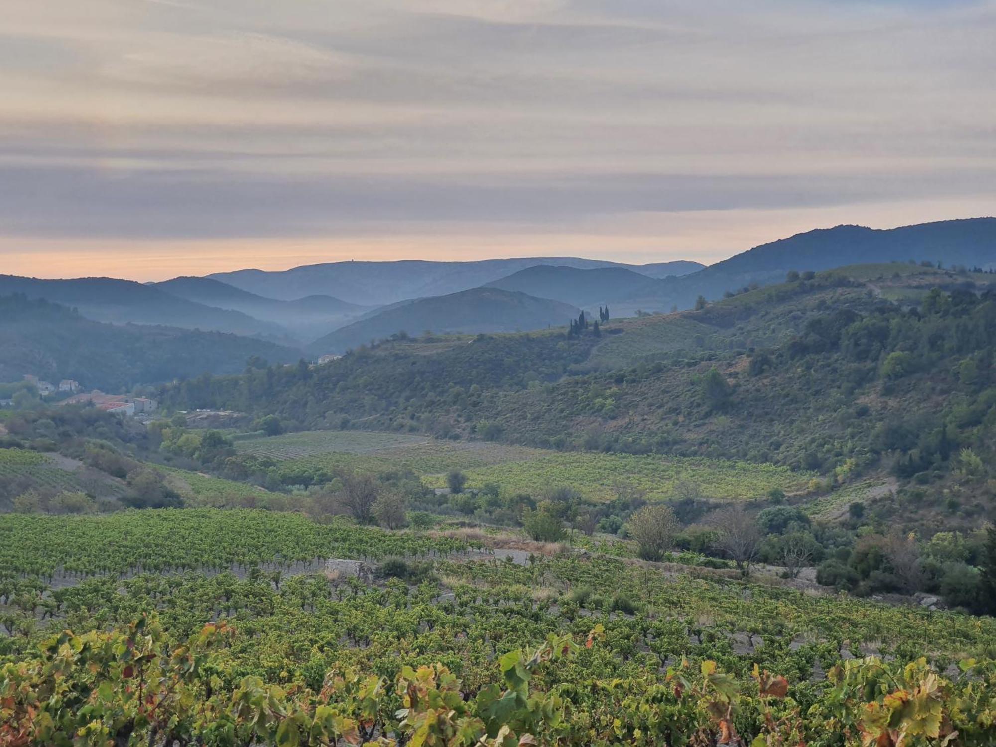 La Barbacane De Cascastel-Des-Corbieres Bagian luar foto