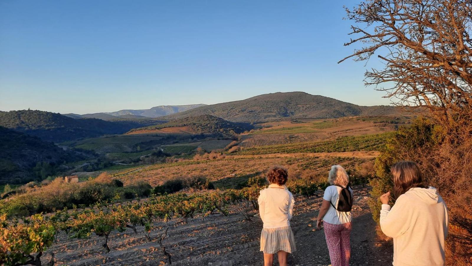 La Barbacane De Cascastel-Des-Corbieres Bagian luar foto