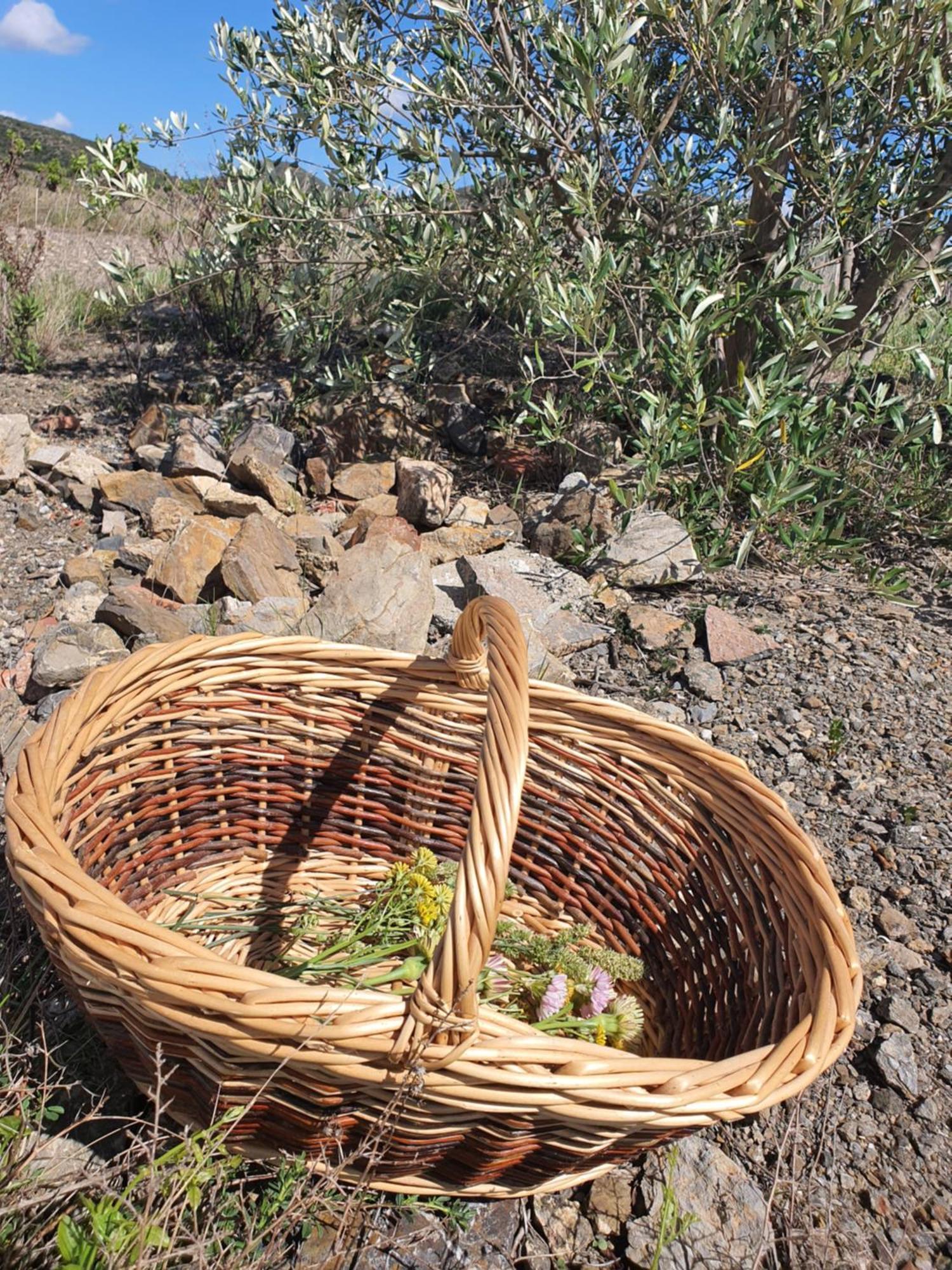 La Barbacane De Cascastel-Des-Corbieres Bagian luar foto